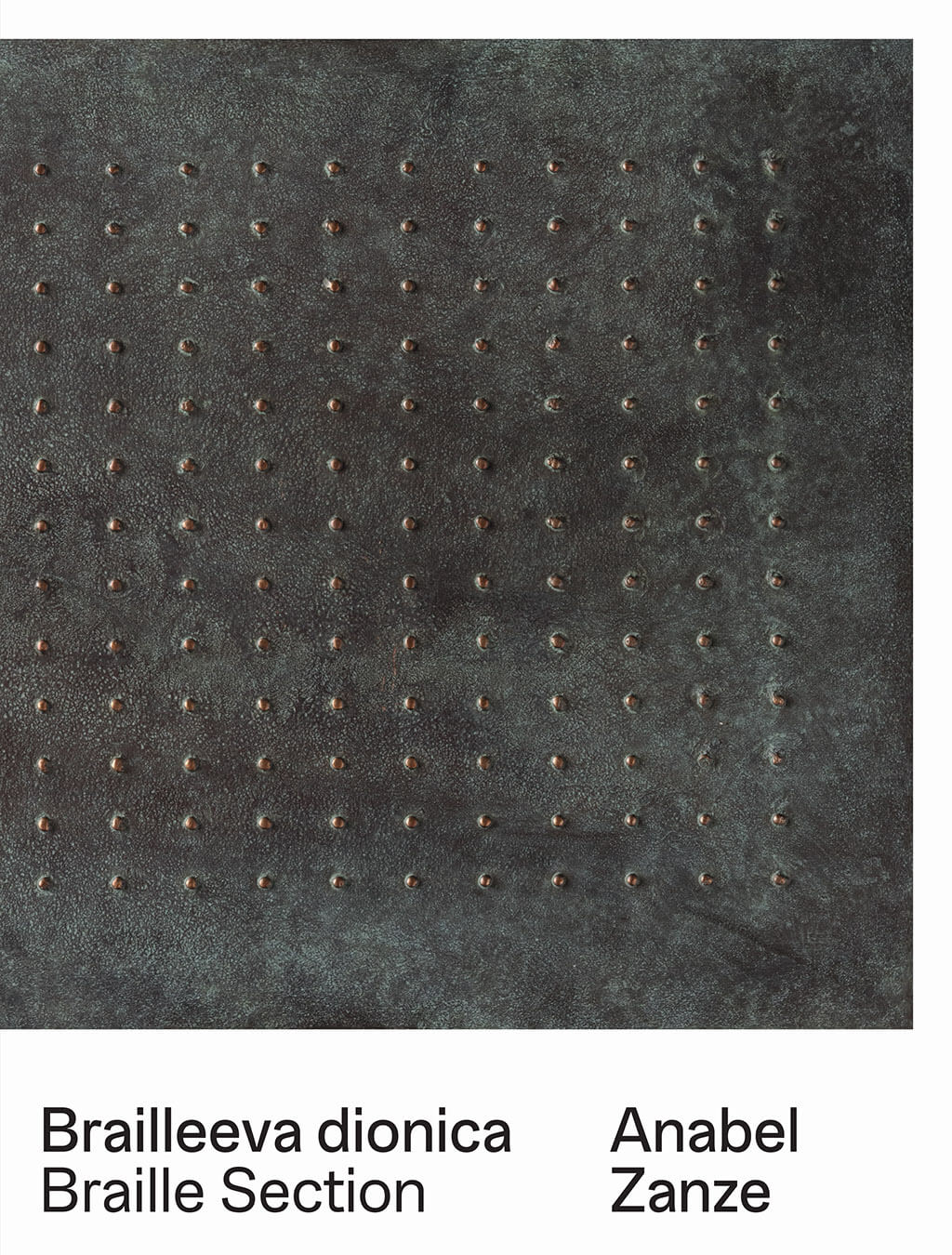 2026. BRAILLEEVA DIONICA
